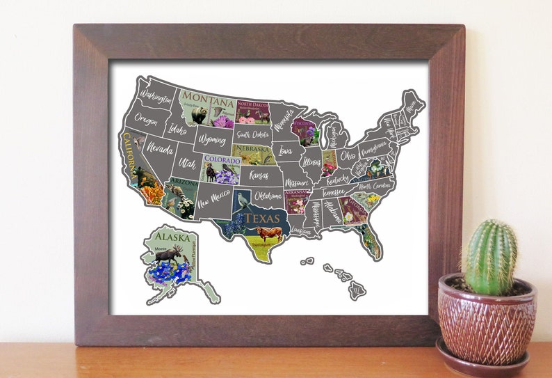 USA scratch off map United States poster Travel educational map Etsy sales tracker Bucket List poster, Places traveled, Scratch off image 6