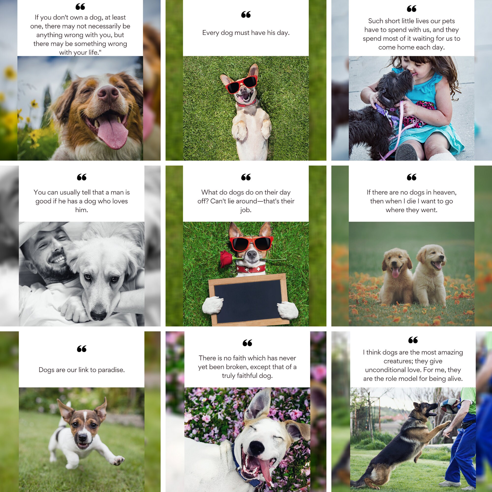 30 Pet Dog Lover Instagram Templates for Canva Canva Etsy UK