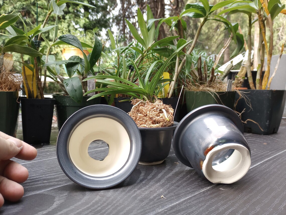 Neofinetia (Fuuran) Pot (Plastic) (Various Sizes Neofinetia (Fuuran) Pot (Plastic) (Various Sizes