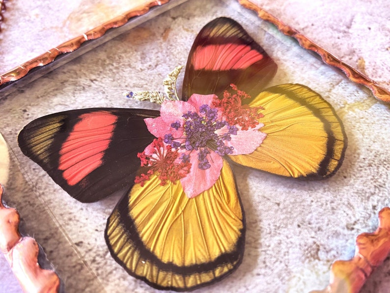 Beautiful Pressed Flower Batesia butterfly Wings Glass Square Ornament with Rustic Style Solder and Vintage Copper Patina, One of a Kind image 2