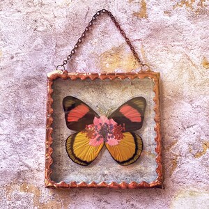 Beautiful Pressed Flower Batesia butterfly Wings Glass Square Ornament with Rustic Style Solder and Vintage Copper Patina, One of a Kind image 5