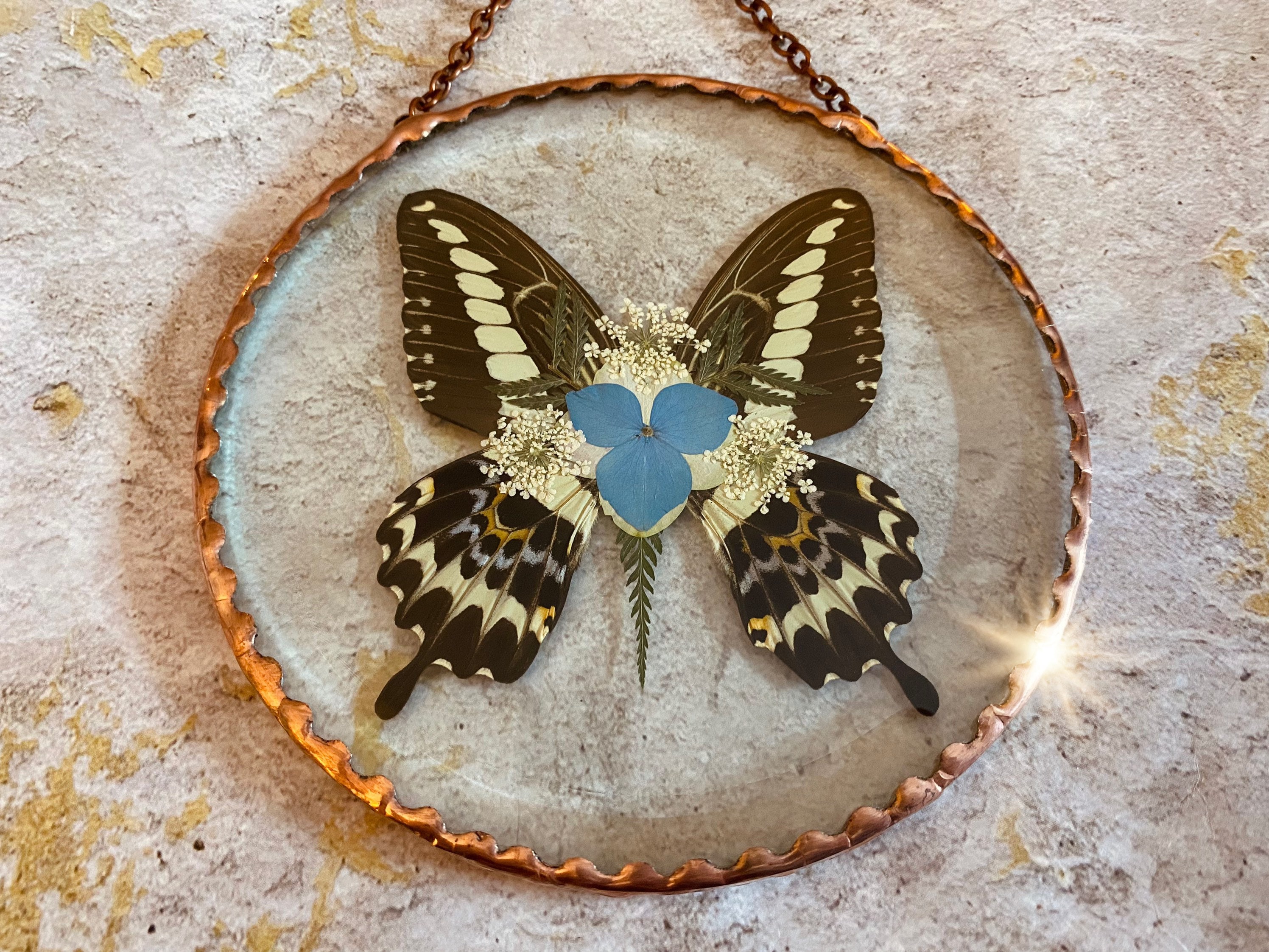 1 pièce libellule/papillon Design acrylique capteur de soleil