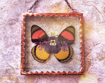 May include: A copper framed picture with a glass front, featuring a pressed butterfly with red, yellow, and black wings. The butterfly is centered in the frame and has a small purple flower in the middle of its wings.