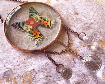 May include: A copper-toned metal frame with a glass insert containing a preserved butterfly with colorful wings. The frame is suspended from a chain with three crystal prisms hanging from it.