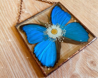 May include: A framed blue morpho butterfly with white flowers pressed inside. The frame has a copper finish and a hanging chain.