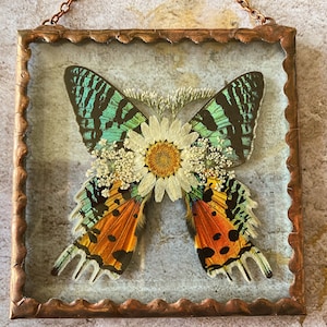 Beautiful Pressed Flower sunset moth Wings Glass Square Ornament with Rustic Style Solder and Vintage Copper Patina, One of a Kind