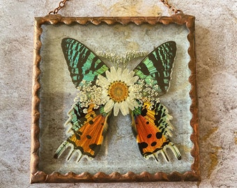 Beautiful Pressed Flower sunset moth Wings Glass Square Ornament with Rustic Style Solder and Vintage Copper Patina, One of a Kind