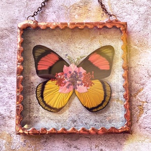 Beautiful Pressed Flower Batesia butterfly Wings Glass Square Ornament with Rustic Style Solder and Vintage Copper Patina, One of a Kind image 1