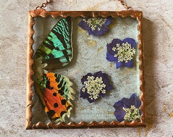 Beautiful Pressed Flower sunset moth Wings Glass Square Ornament with Rustic Style Solder and Vintage Copper Patina, One of a Kind