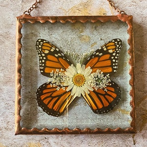 Beautiful Pressed Flower, monarch butterfly Wings, Stained Glass, Square Ornament, Rustic Style Solder, Vintage Copper Patina, Gift for her