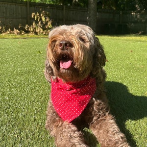 Classic Red Polka Dot Dog or Cat Bandana Accessory, Scarf, Tie-on, Machine Washable, Gifts for Pets, Fashion, Christmas, White, Formal event