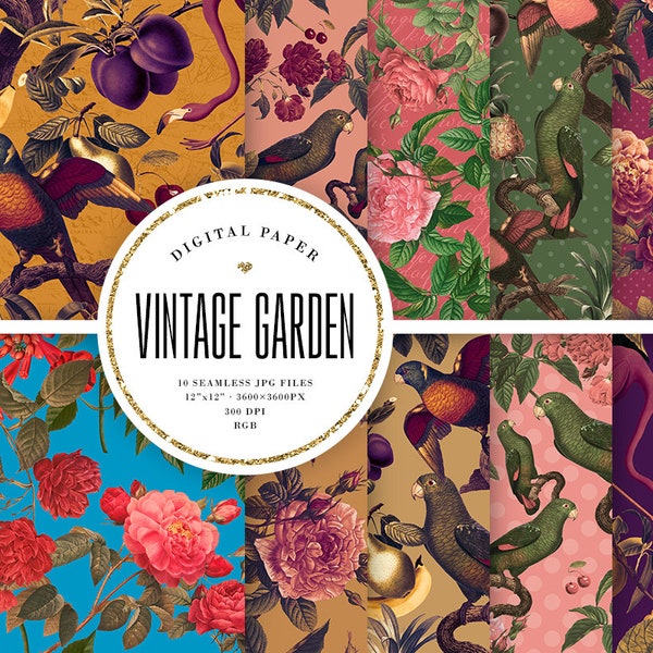 Carta digitale botanica vintage, modelli botanici senza cuciture, sfondi floreali antichi, frutta, fiori, uccelli Scrapbook carta COMMERCIAL USE