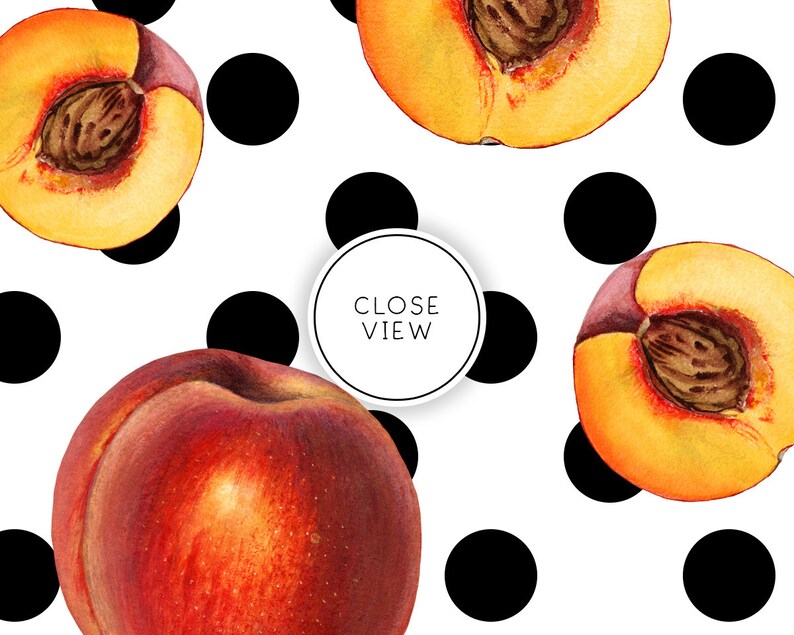 Peach Digital Paper, Fruit Seamless Patterns, Peaches Scrapbook Papers