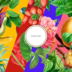 Bright Floral Seamless Patterns, Tropical Digital Paper, Summer Sublimation Backgrounds, Fruits, Flowers, Birds, Red, Yellow, COMMERCIAL USE image 3