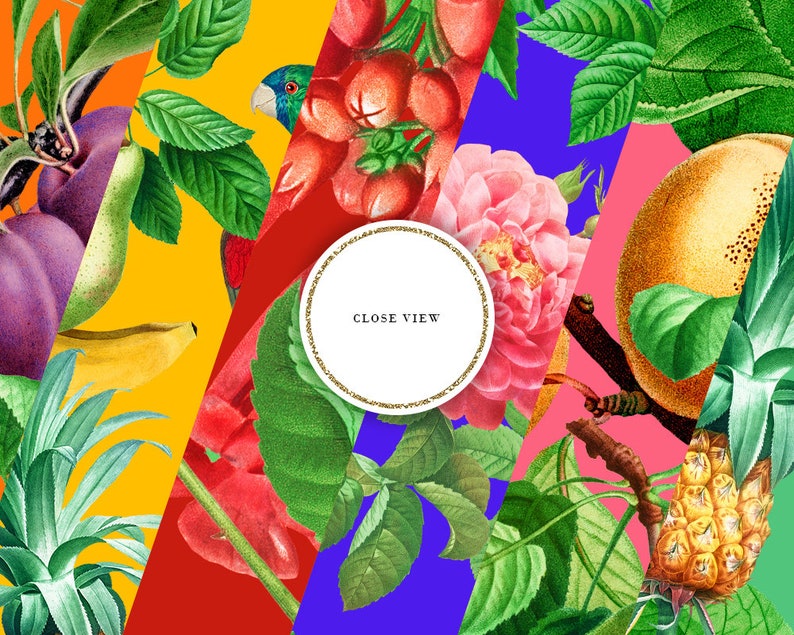 Bright Floral Seamless Patterns, Tropical Digital Paper, Summer Sublimation Backgrounds, Fruits, Flowers, Birds, Red, Yellow, COMMERCIAL USE image 3