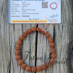 5 Mukhi Rudraksha-armband 8 mm 10 mm 12 mm -Lab gecertificeerd, spirituele gaven, vijfzijdige rudraksha-armband 5-faced Rudraksha Shiva-armband