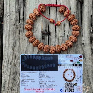 May include: A brown Rudraksha bracelet with ten beads, each with a unique face. The bracelet is made of natural Rudraksha seeds and is approximately 11.00 mm in diameter. The bracelet is accompanied by a certificate of authenticity from a testing laboratory.