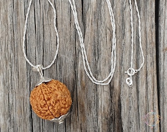 5 Mukhi (5 Face) Natural Rudraksha Bead Sterling Silver Pendant - Handmade, Customizable Spiritual Jewelry - View #7