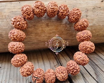 Seven Mukhi Bracelet -Lab Certified, 7 Mukhi Rudraksha Bracelet, Shiva Bracelet, Yoga Bracelet, Seven Faced Rudraksha Bracelet