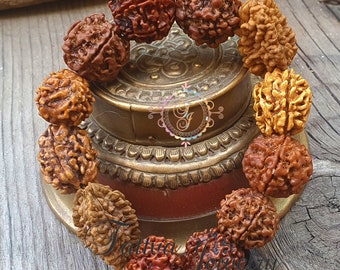 Rudraksha Seed Bracelet: 2-7 Mukhi, Yoga Protection Mala