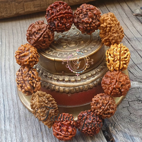 Rudraksha Bracelets 2 (dehradun) +3(nepali)+4(nepali)+6(nepali)+7 (nepali)  + 5 Mukhi Indonesia at Rs 1100/piece | Rudraksha Bracelet in New Delhi |  ID: 26038403488