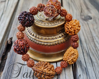 Rudraksha 2 3 4 5 6 7 Mukhi Beads Bracelet – Adjustable Shiva Wrist Band, Natural Rudraksha Armlet, Gift for Men & Women, Handmade