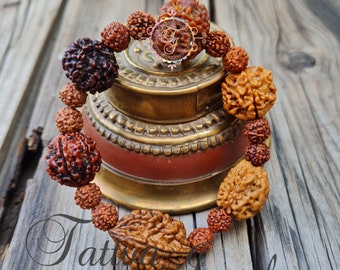 Rudraksha 2 3 4 5 6 7 Mukhi (Face) Beads Mala Wrist Band Bracelet For Men and Women, Rudraksha Bracelet, Shiva armlet.