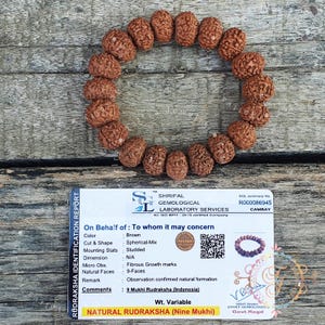 Puede incluir: Un brazalete de cuentas Rudraksha marrones dispuesto en círculo sobre una superficie de madera. Las cuentas son de forma esférica y tienen una textura fibrosa. Una tarjeta blanca con texto y un código QR está en primer plano.