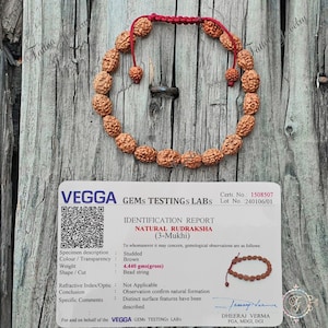 3 Mukhi Rudraksha Bracelet | Three Face Shiva Bead | Custom Size | Natural Indonesian Beads | Handcrafted Spiritual Gift