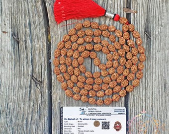 Four Mukhi Rudraksha Mala, Lab certified, Four Face Rudraksha Mala, Natural Undyed, 4 Mukhi Mala 8mm Bead, 4 Face Rudraksha Mala