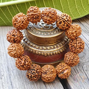 Sechs Mukhi nepalesische Rudraksha Armbänder: Handgefertigter spiritueller Schmuck