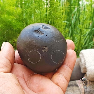Divya Ladoo Gopal Shaligram Shila: Gandaki River Stone