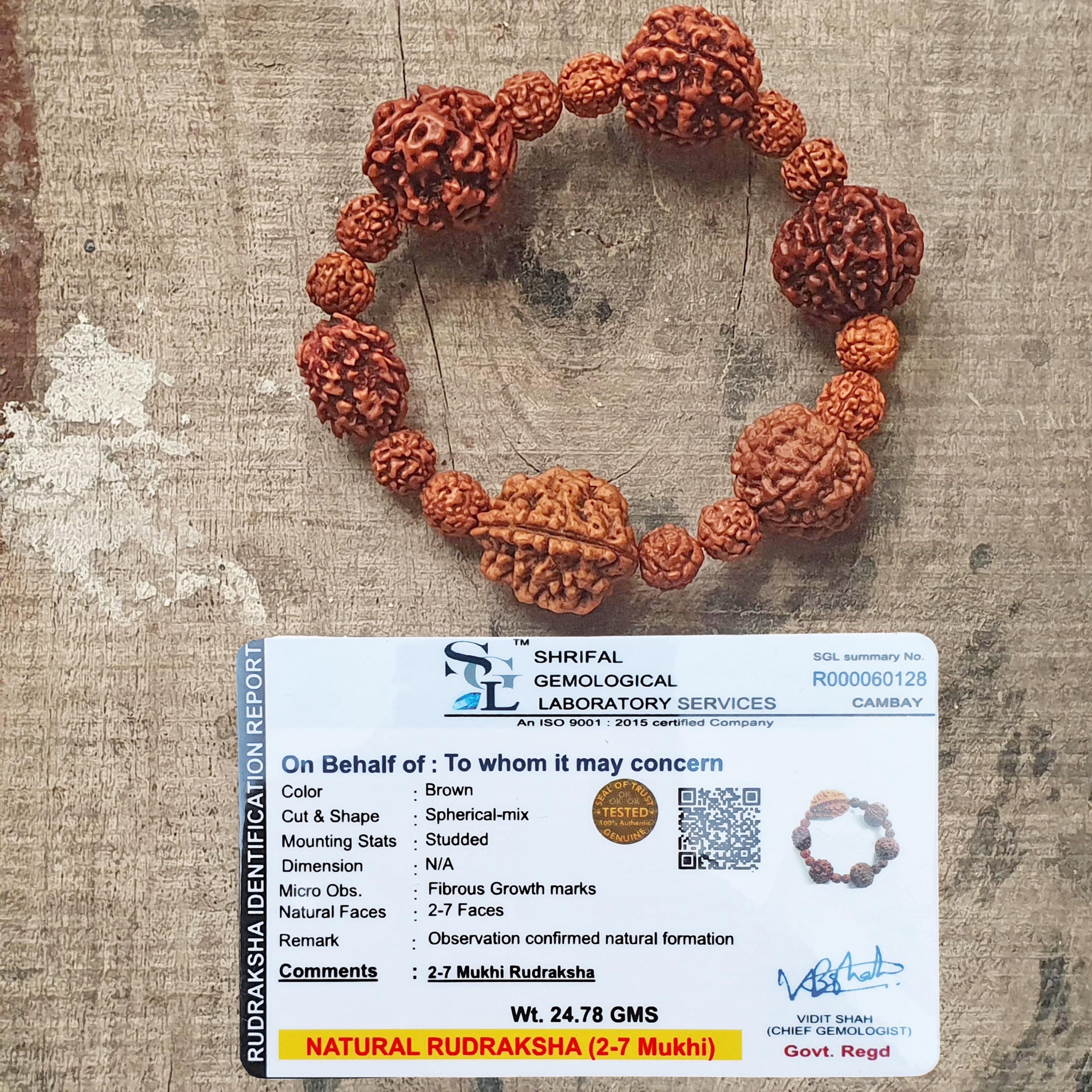 Rudraksha 2 3 4 5 6 7 Mukhi Beads Bracelet – Adjustable Shiva
