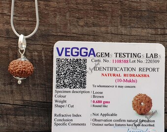 10 Mukhi Indonesian Java Rudraksha Pendant -Lab Certified in Sterling Silver, Spiritual Gifts, Yoga Pendant