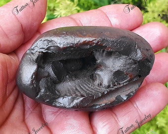 Parasurama Shaligram, Religious Gifts, Saligram Stone - Gandaki River Nepal, Auspicious Shaligram Stone, Ritual Object