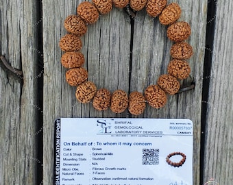 7 Mukhi Lab Certified Rudraksha Bracelet: Shiva Yoga Jewelry