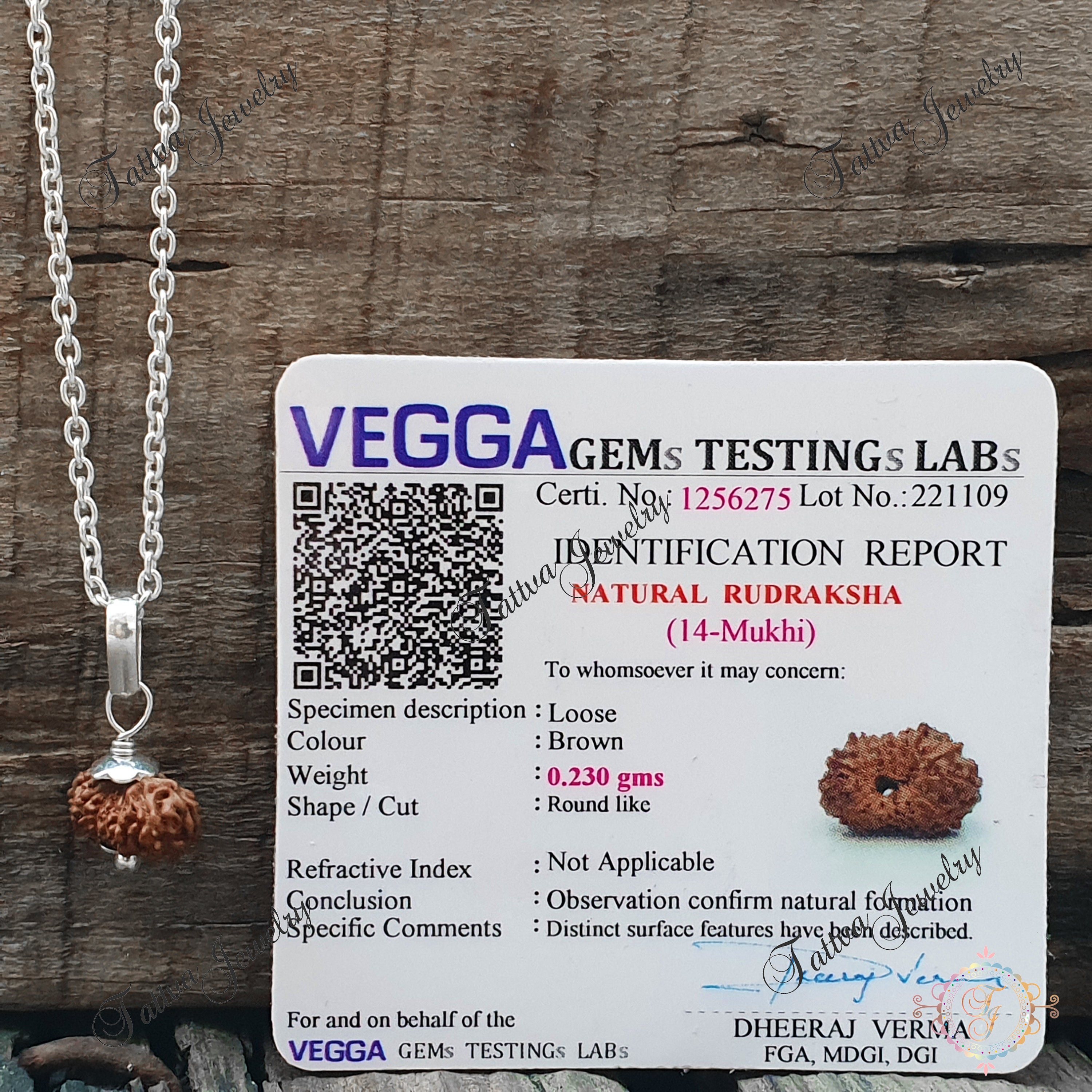 Divya Shakti 13 Mukhi Nepali Rudraksha Silver Pendant (20mm) - For Wealth & Spiritual Blessings