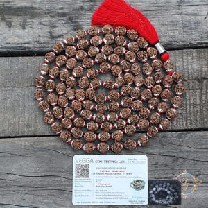 5 Mukhi Nepali Rudraksha Mala with Silver Spacers | Lab Certified 108+1 Beads (11–11.5mm) | Sterling Silver Yoga Necklace | Rare Nepal Mala