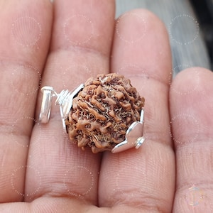 7 Mukhi Rudraksha Pendant: Sterling Silver Nepal Bead, Lab Certified
