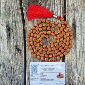 Rare Four Mukhi Rudraksha Mala: Natural Undyed Prayer Beads