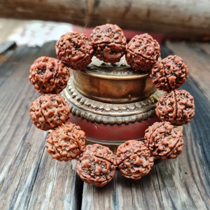 Handgemachtes Rudraksha Armband aus Nepal: 5 Mukhi Perlen