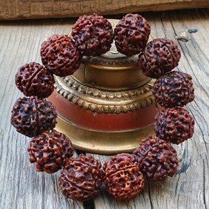 Nepali Rudraksha Bracelet: 5 Mukhi Shiva Armlet, Lab Certified