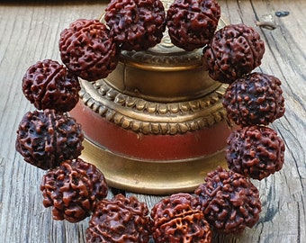 Nepali Rudraksha Bracelet: 5 Mukhi Shiva Armlet, Lab Certified