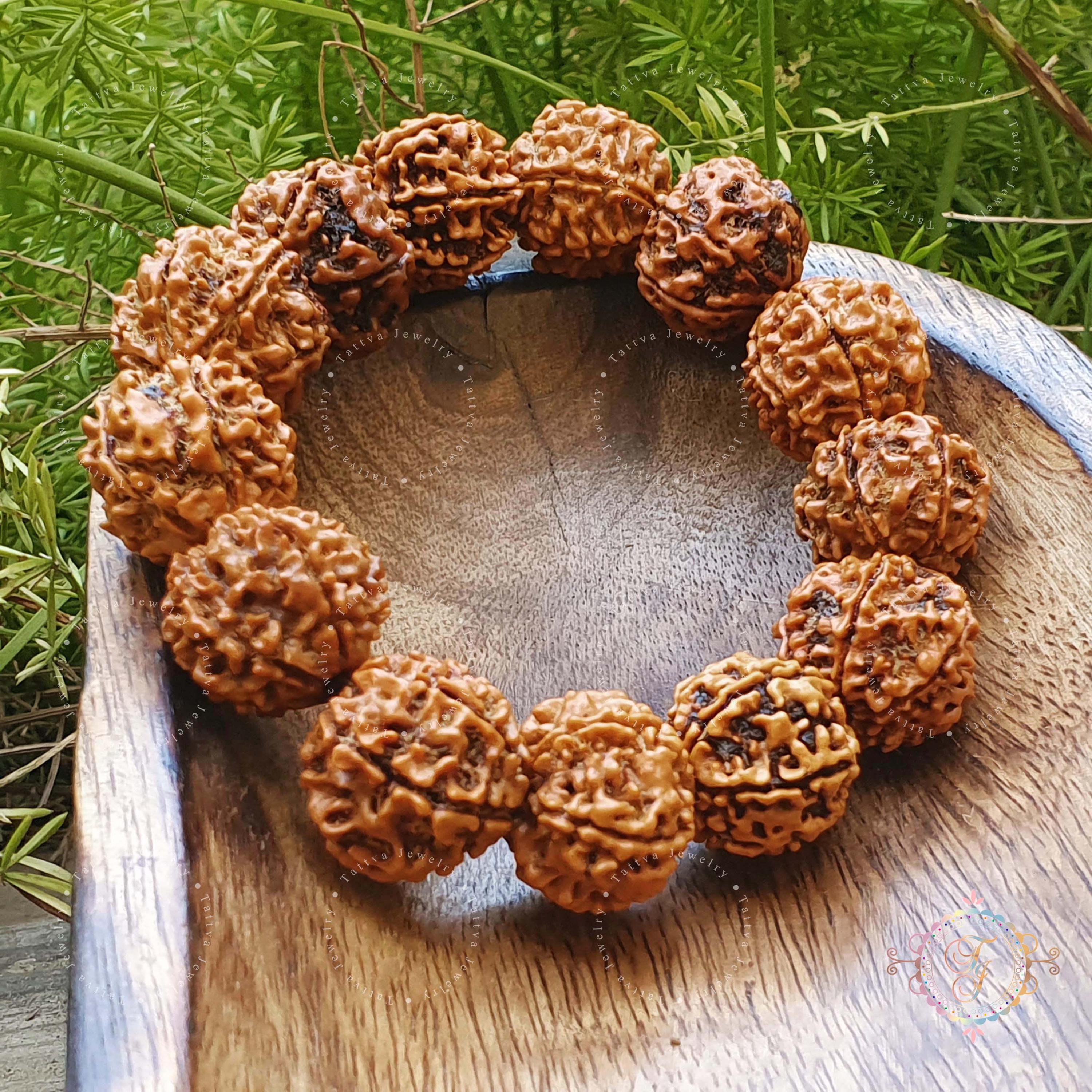 11 Mukhi Rudraksha Armband uit Nepal 24mm-26mm Zilver