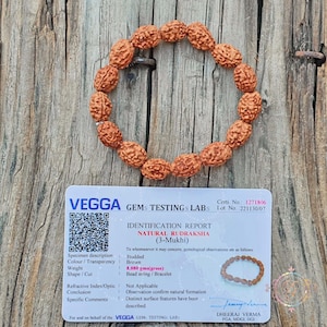 3 Mukhi Rudraksha Bracelet: Handmade Shiva Beads Japa Wristlet