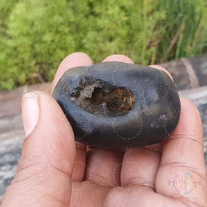 Rare Narsimha Yellow Shaligram Stone: Gandaki River Vishnu Pooja Item