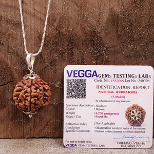 Sterling Silver Rudraksha Pendant: 5 Mukhi Nepali Bead, Yoga Jewelry