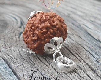 Ciondolo In Argento Sterling Con Rudraksha Nepalese A 7 Mukhi (7 Facce), Autentico E Certificato