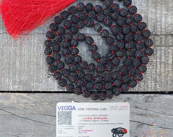 5 Mukhi Black Rudraksha Mala – 108+1 Beads, Lab Certified, Hand-Knotted Necklace, Silk Tassel, Yoga & Meditation Gift