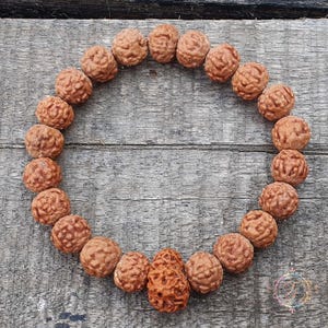 5 Mukhi Rudraksha Bracelet with 11 Mukhi Rudraksha Bead -Lab Certified,  Spiritual Gifts, Eleven Faced Rudraksha Bracelet, 11 Face Rudraksha